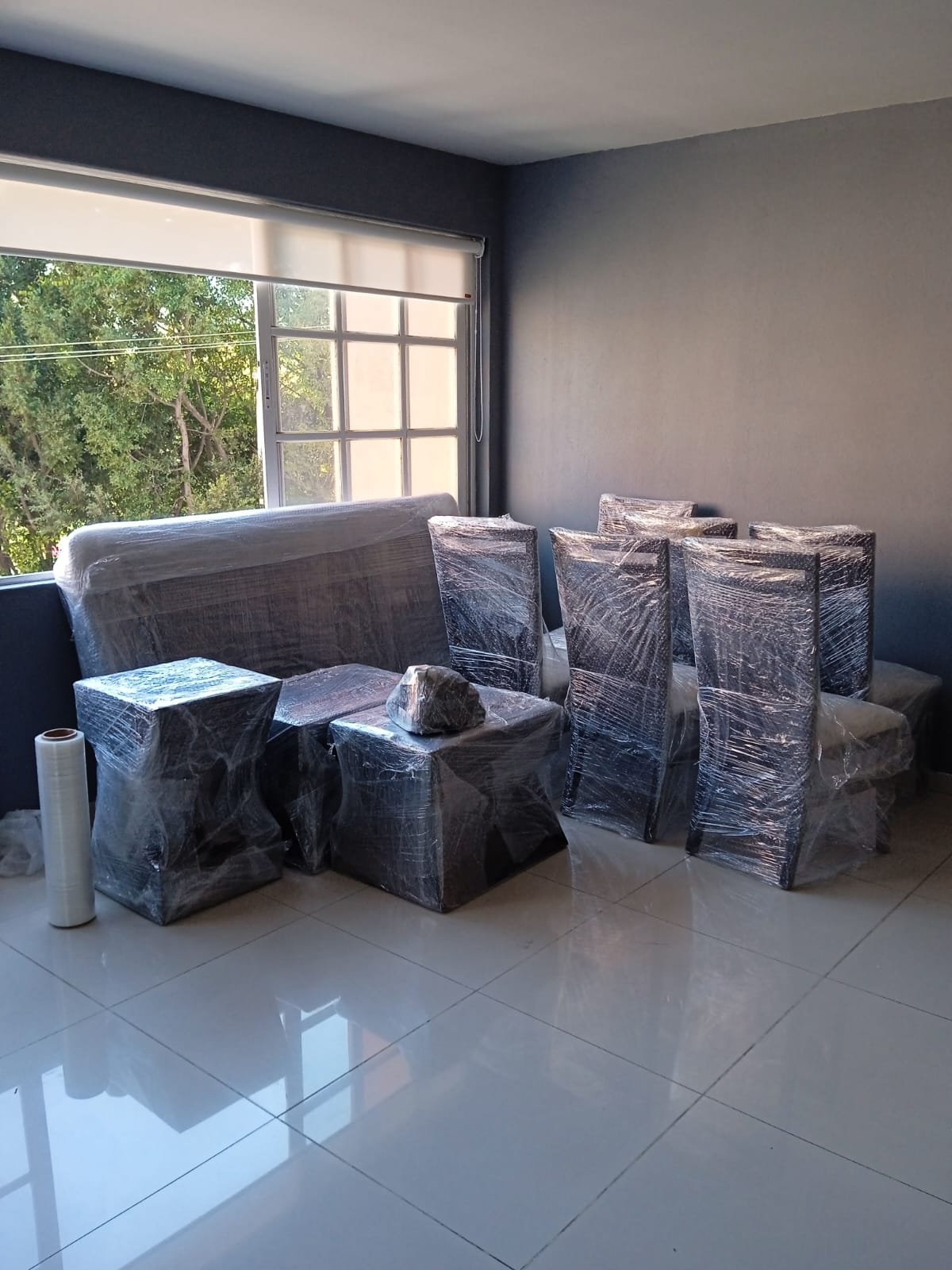 Servicio profesional